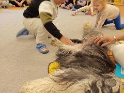 2025-10-23 DOGOTERAPIA (JEŻYKI)